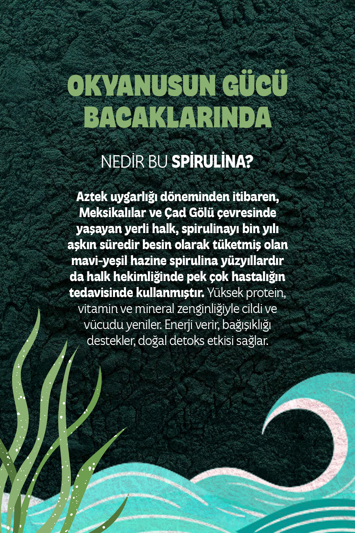 Nalan Sultan | Çilek Bacak Pelling |Yosun İçerikli Batık Giderici, Süper Besinli Spirulina Etkisi, Bitkisel (230 ml)