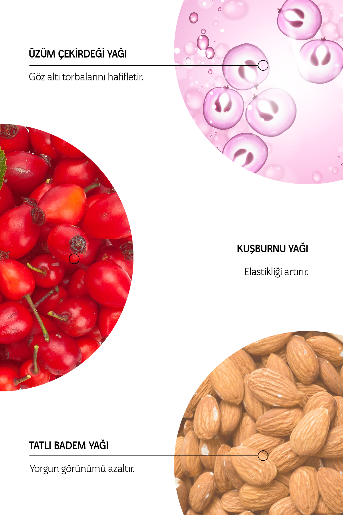 Sultan Göz Bakım Serumu | Üzüm Çekirdeği Yağlı %100 Doğal Gözaltı Kırışıklık Karşıtı (10 ml)